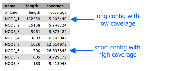 spades output contigs